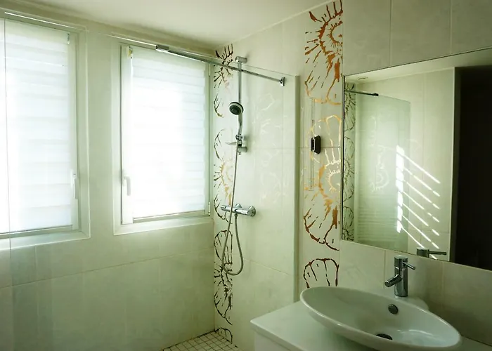 Bed & Breakfast Villa Marie Suzon - Belle Propriete Pour 16 Personnes A 5 Mn De La Hume